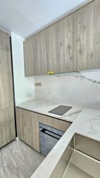 Leedon Green (D10), Condominium #559557841
